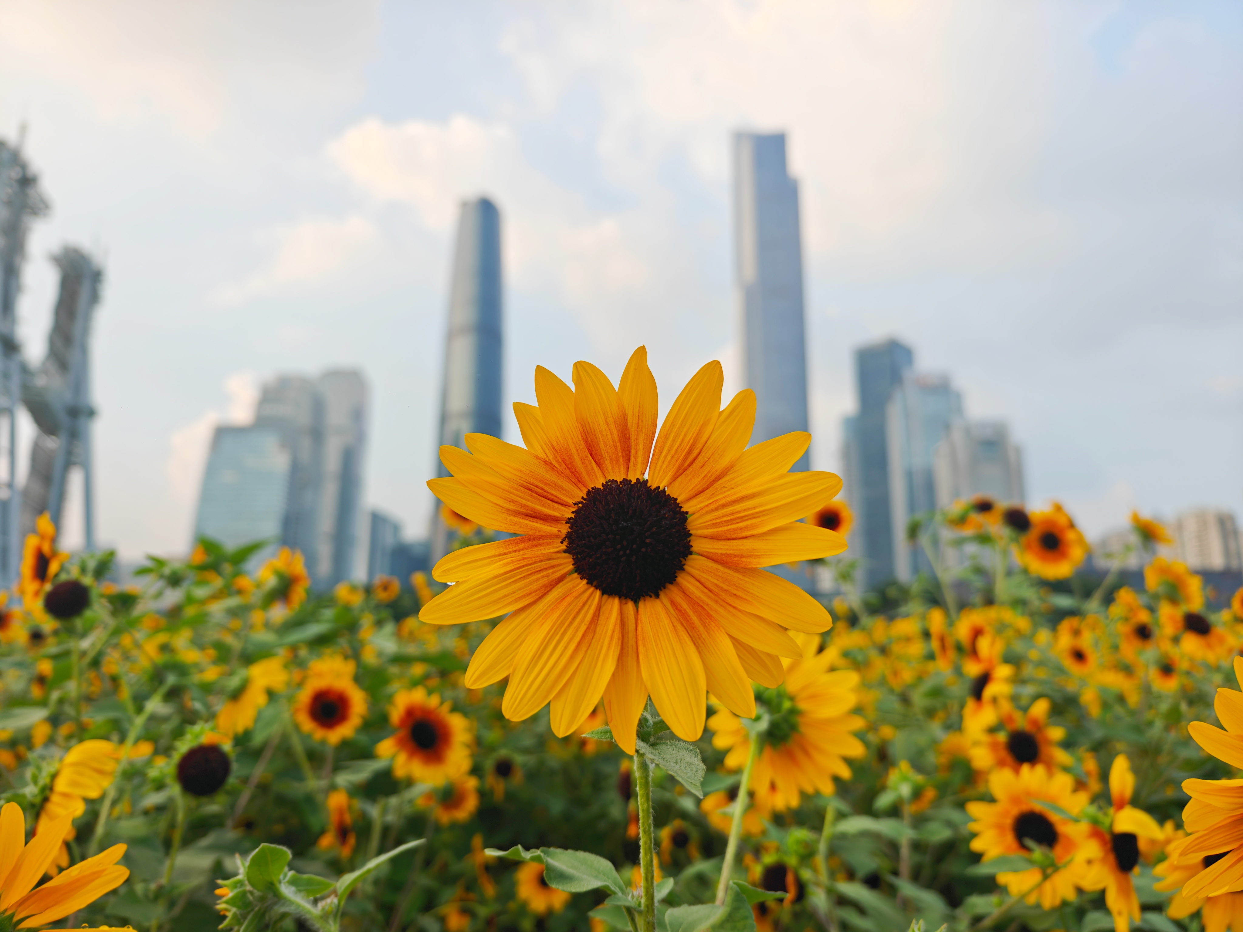體驗生態(tài)旅游 樂享自然之美